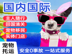 凤凰航空邮寄国际宠物托运 【国